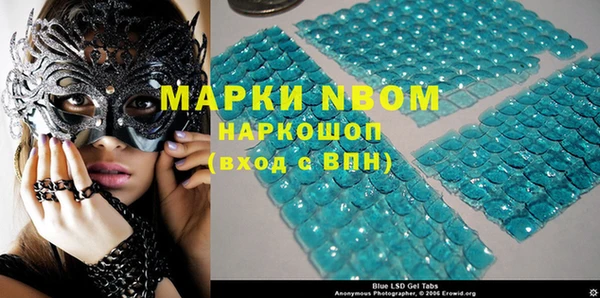 индика Верхний Тагил