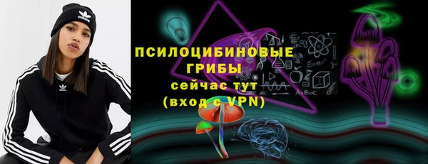 хмурый Верея
