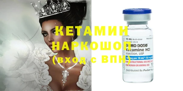 хмурый Верея