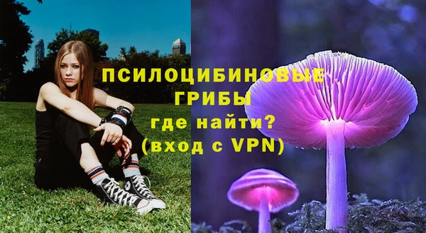 индика Верхний Тагил