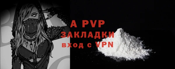 индика Верхний Тагил