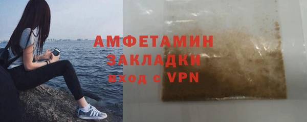 хмурый Верея