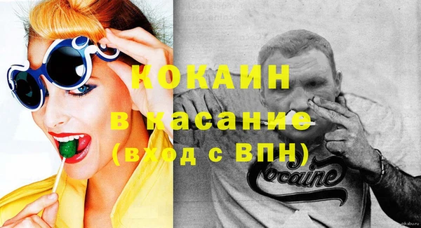 индика Верхний Тагил