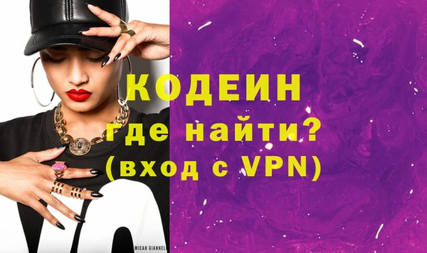 индика Верхний Тагил