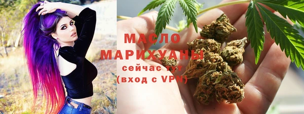 индика Верхний Тагил