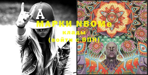 хмурый Верея