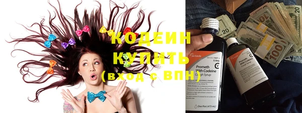 хмурый Верея