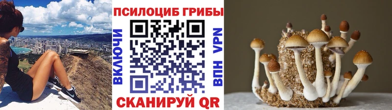 Галлюциногенные грибы Magic Shrooms  Карабаново 