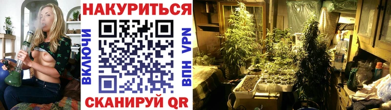 mega ТОР  Карабаново  Бошки марихуана сатива 